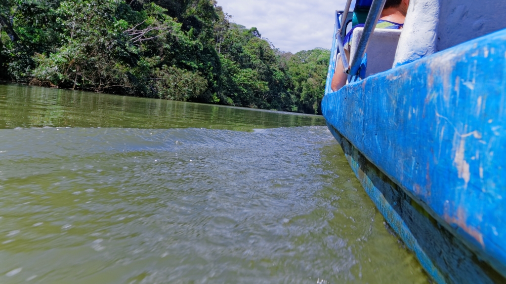 25 - Tortuguero NP (01).jpg
